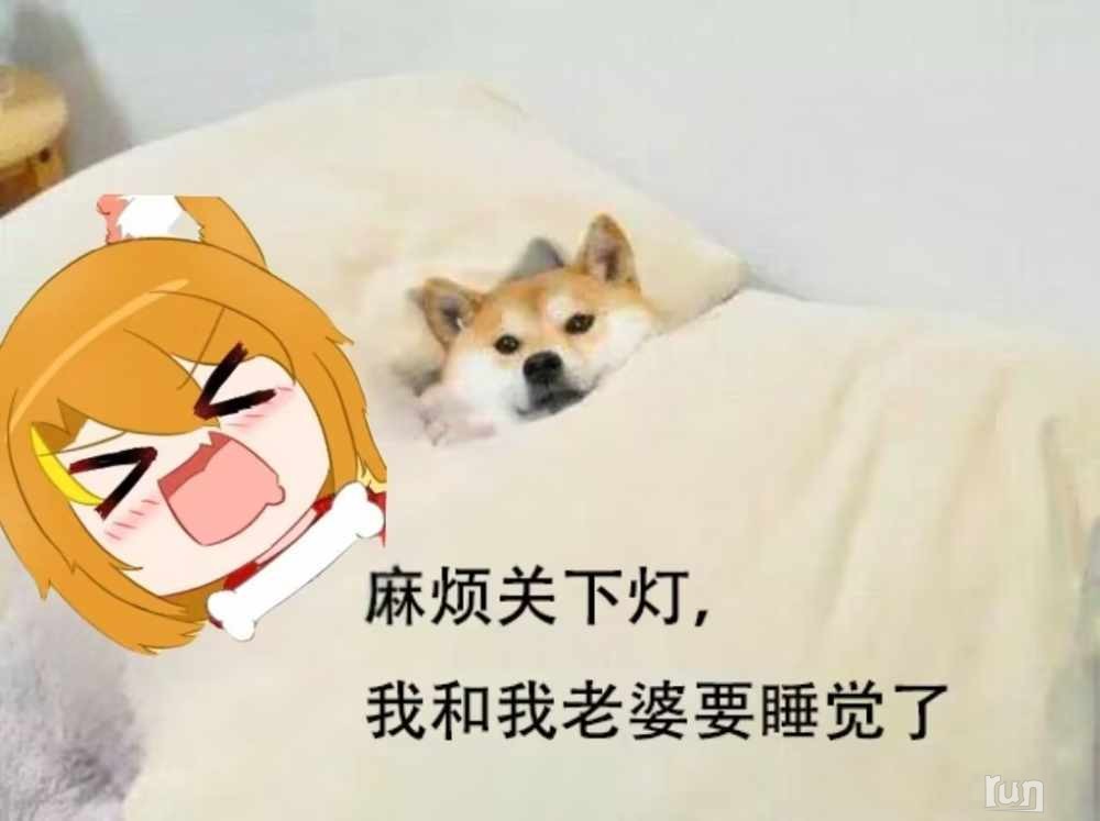 1677750528977.jpeg