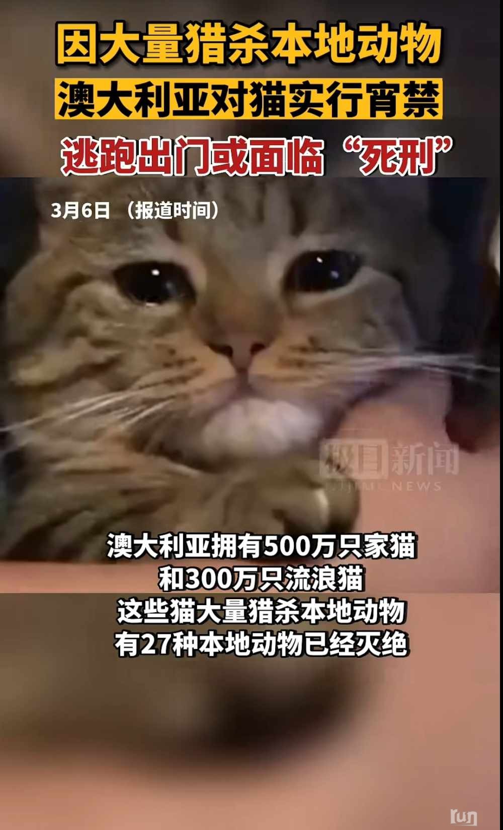 Screenshot_2023-03-08-08-35-34-710-edit_tv.danmaku.bili.jpg