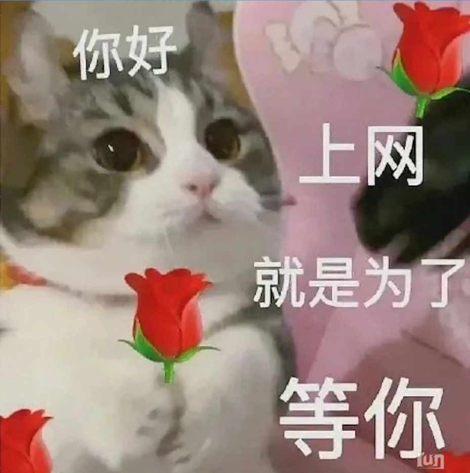 Screenshot_2023-02-14-22-27-36-438-edit_tv.danmaku.bili.jpg