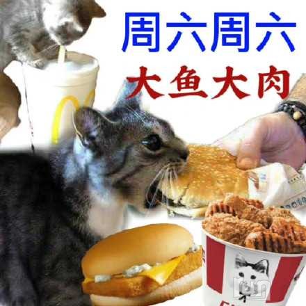 006CXrEjly1hchyh1opalj30u00u0agi.jpg