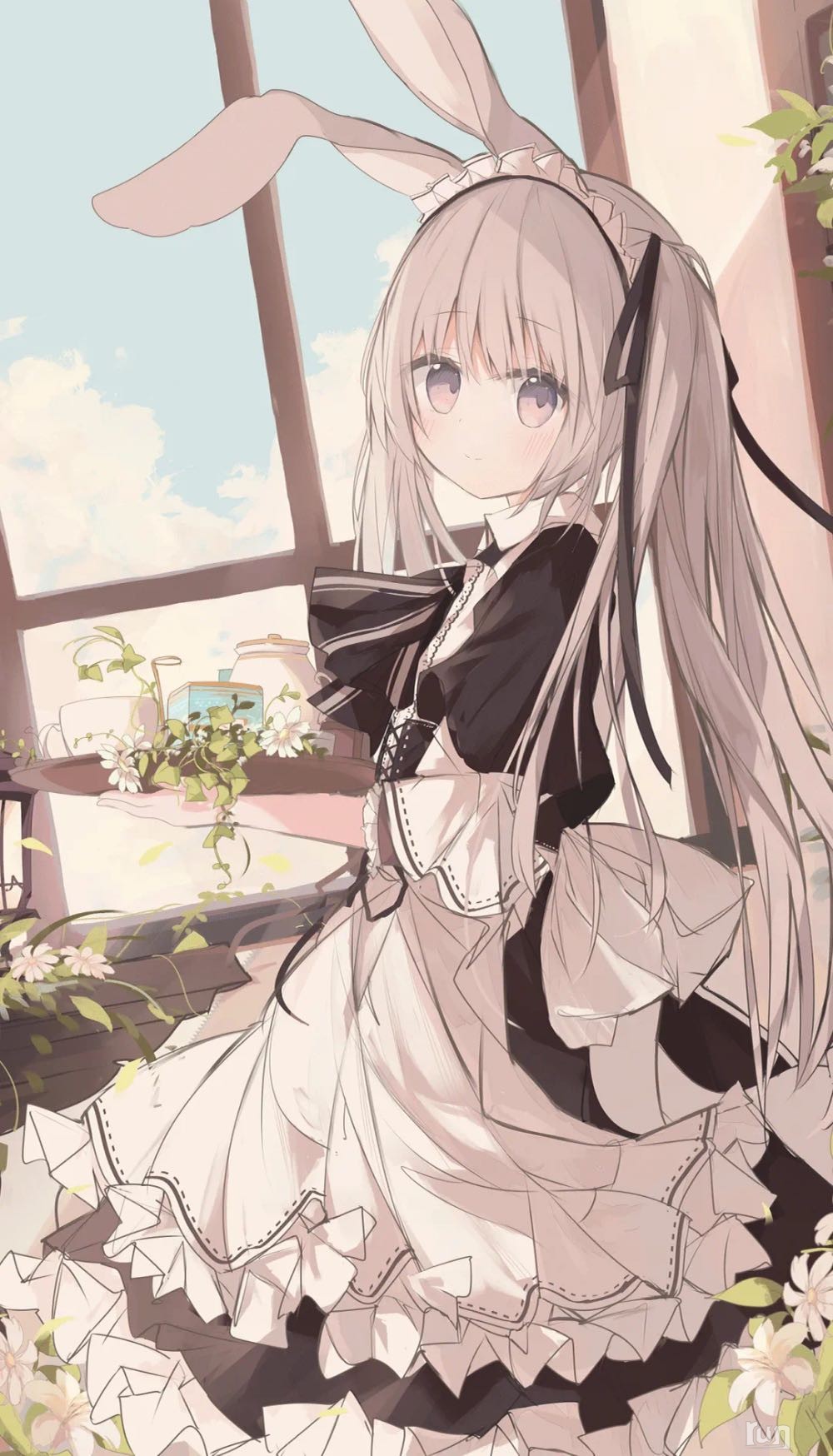 IMG_3703.png