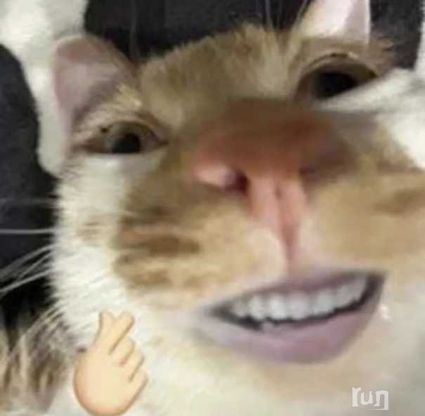 1718945689085.png