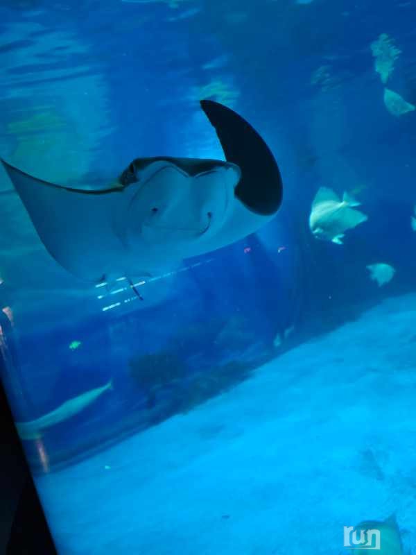 Image_1728364769062.jpg
