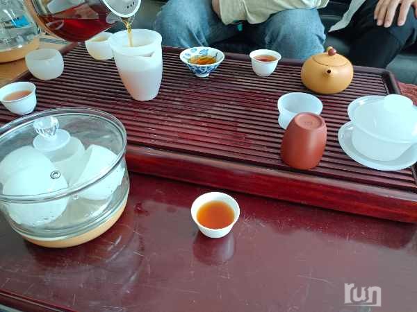 IMG_20241108_103240.jpg