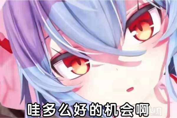 1729741515565.jpg