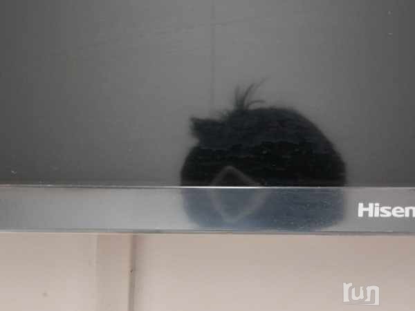 IMG_20241219_204857.jpg