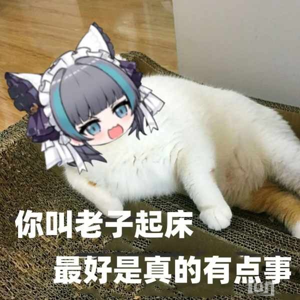 d4fd9e4772e95e25b89889f4103c8541f8a801481a6c1938865db77b96d73005.jpg