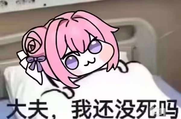 1740412615656.jpg